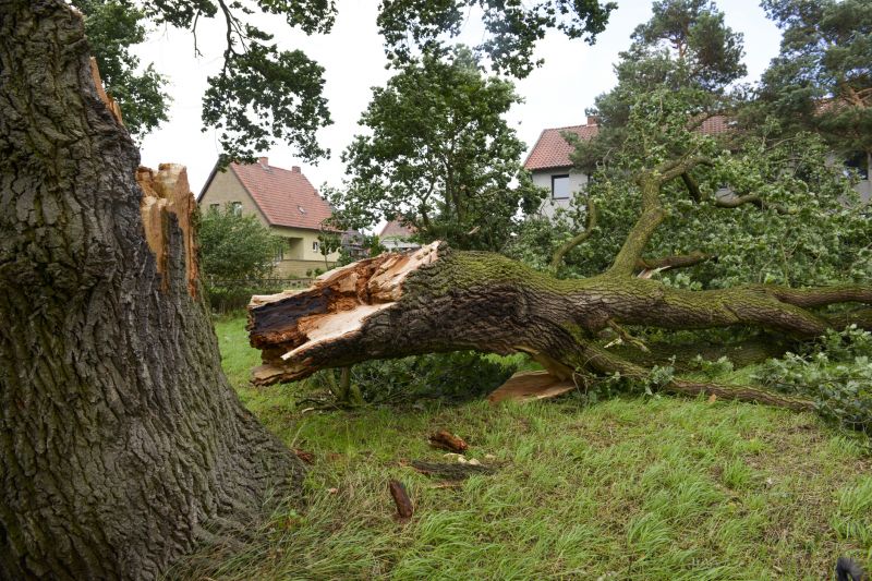 Storm Damage Inspection